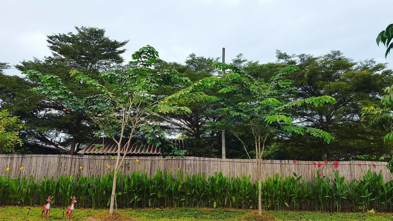 บ้านสวนมีดี ลำพูน Meedee Homestay Lamphun Ban Nong Pla Kho 外观 照片