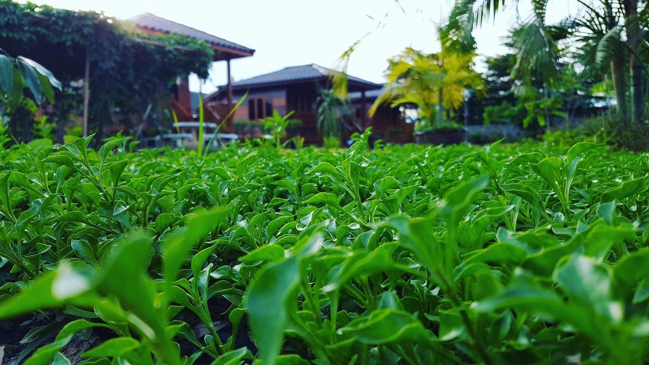 บ้านสวนมีดี ลำพูน Meedee Homestay Lamphun Ban Nong Pla Kho 外观 照片