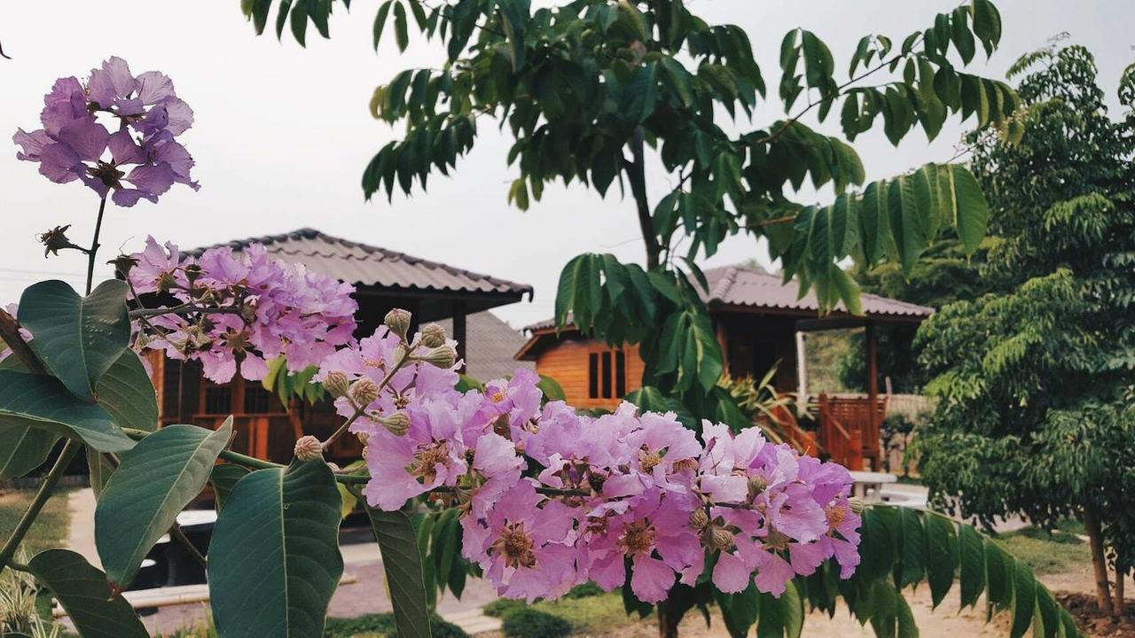 บ้านสวนมีดี ลำพูน Meedee Homestay Lamphun Ban Nong Pla Kho 外观 照片