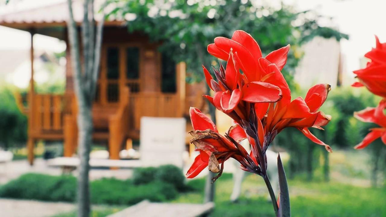 บ้านสวนมีดี ลำพูน Meedee Homestay Lamphun Ban Nong Pla Kho 外观 照片